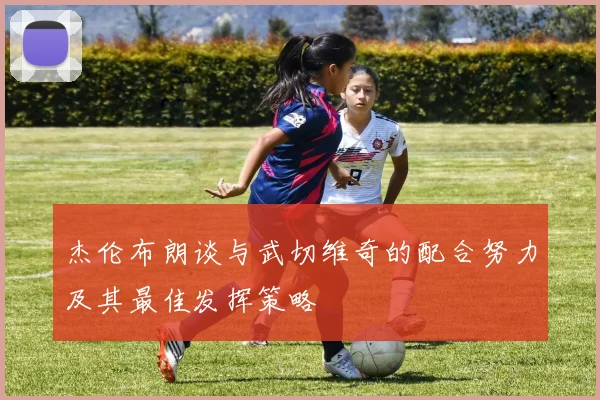 杰伦布朗谈与武切维奇的配合努力及其最佳发挥策略
