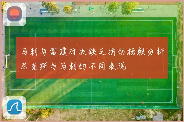 马刺与雷霆对决缺乏拼劲杨毅分析尼克斯与马刺的不同表现