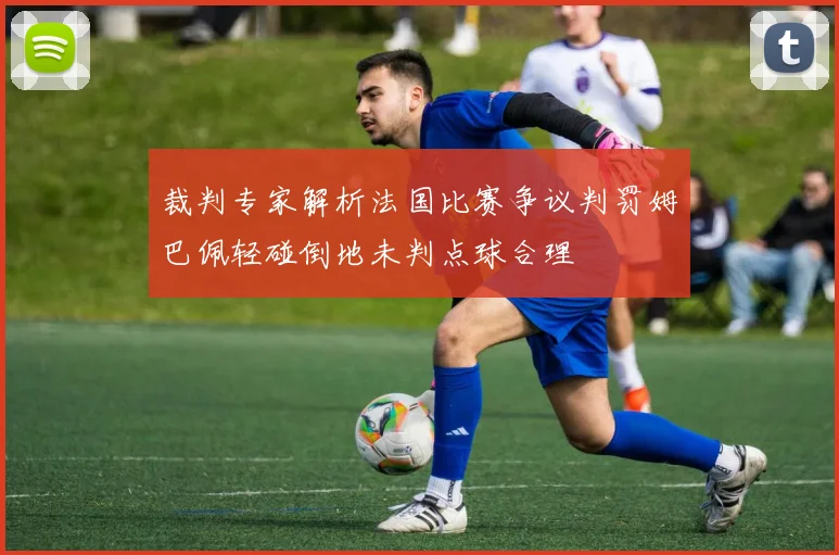 裁判专家解析法国比赛争议判罚姆巴佩轻碰倒地未判点球合理